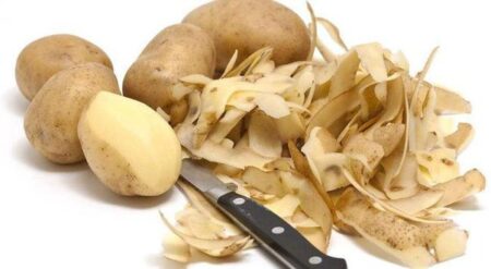 potato peels fabric niradi